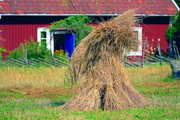 Heuernte im Sommer