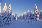 Winterimpression