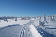die unendliche Weite in Schwedisch Lappland