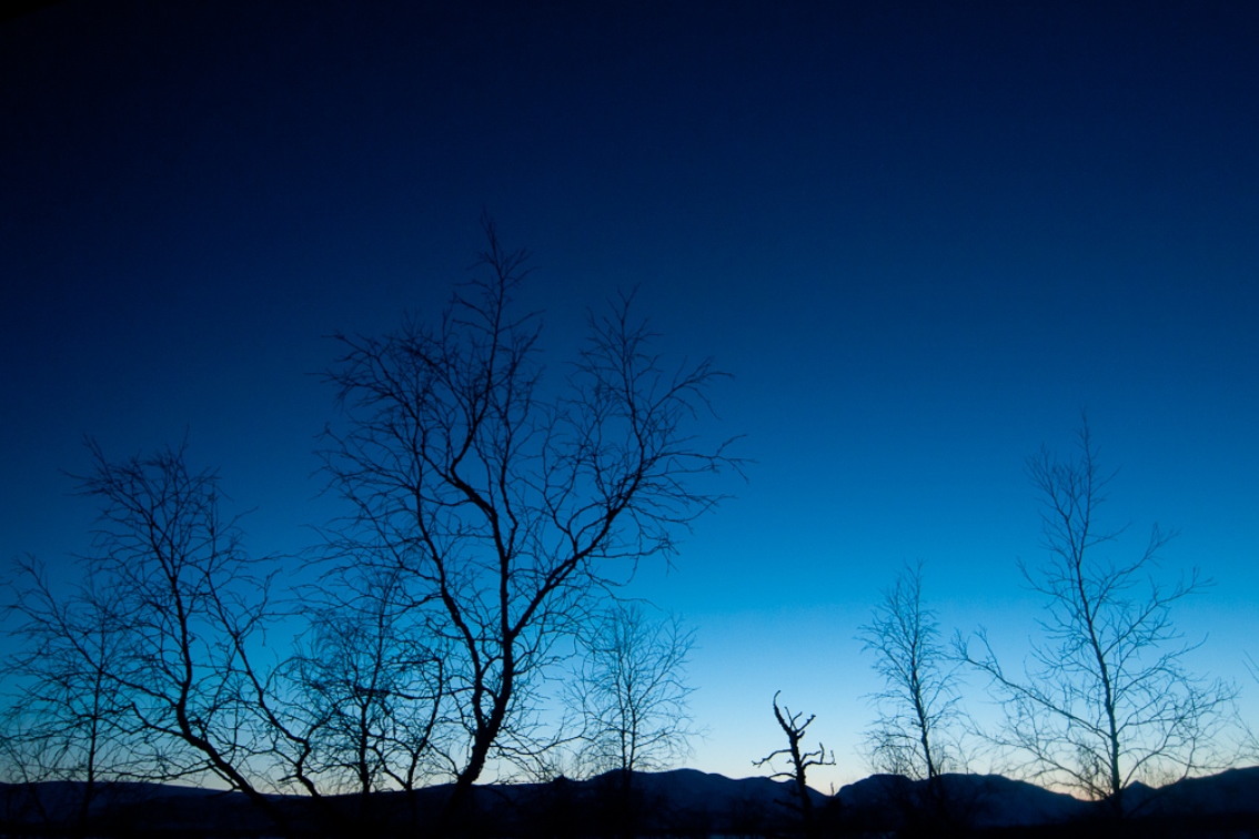 blaue Stunde über Ammarnäs