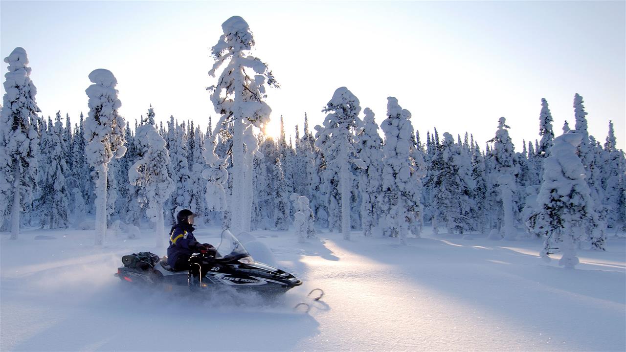 Motorschlittenfahrt im östlichen Finnland - Durch die weiße Pracht