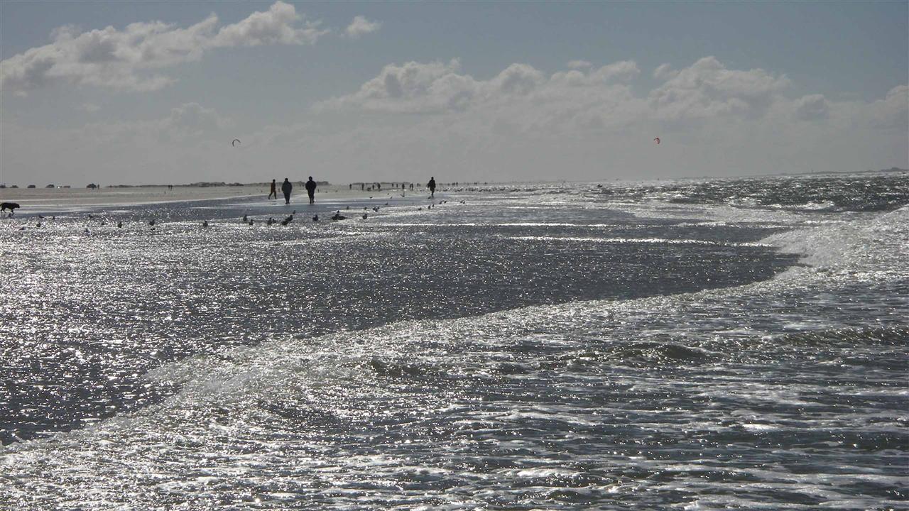 Die Küste Skagens
