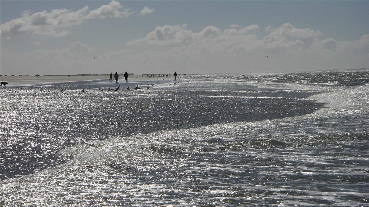 Die Küste Skagens