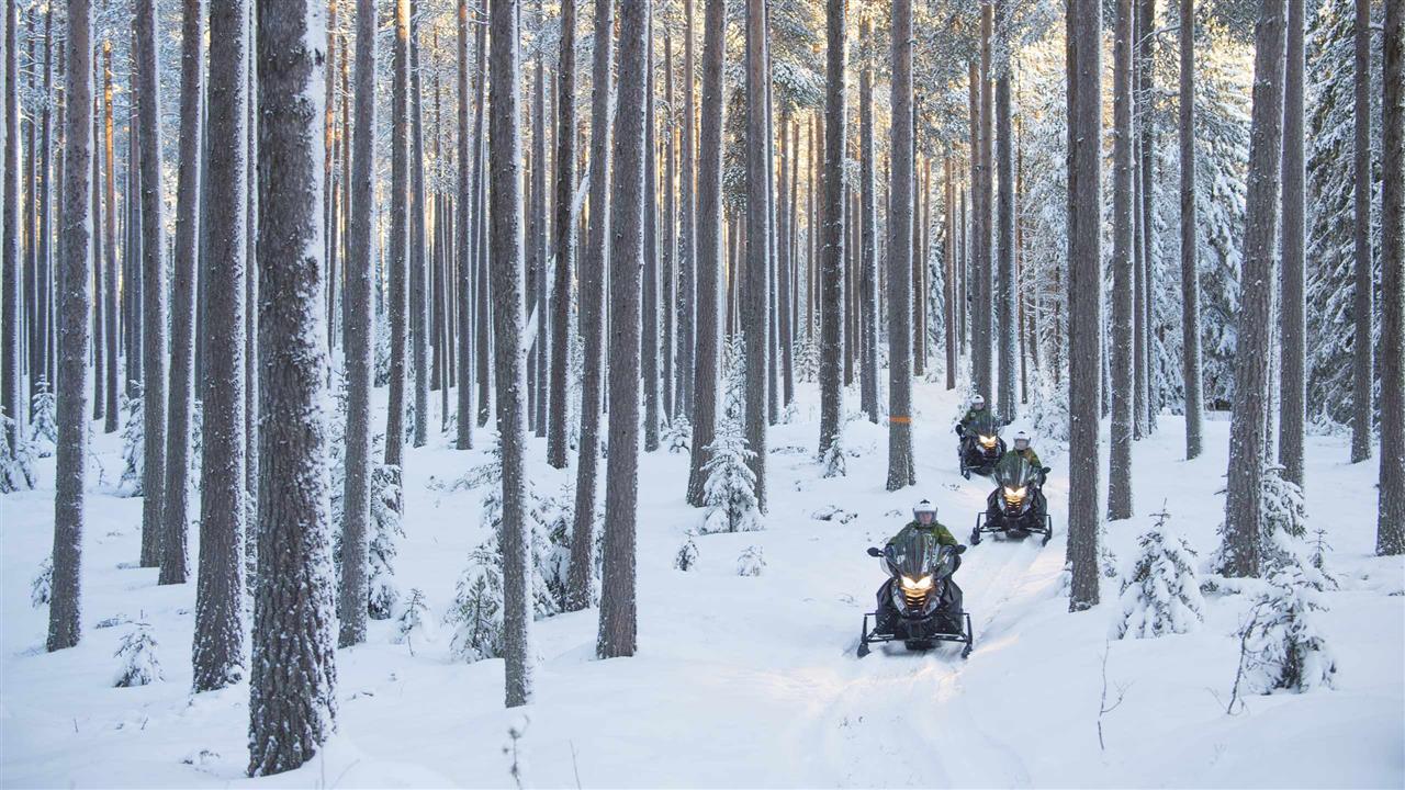 Motorschlittentour durch den Wald von Granö