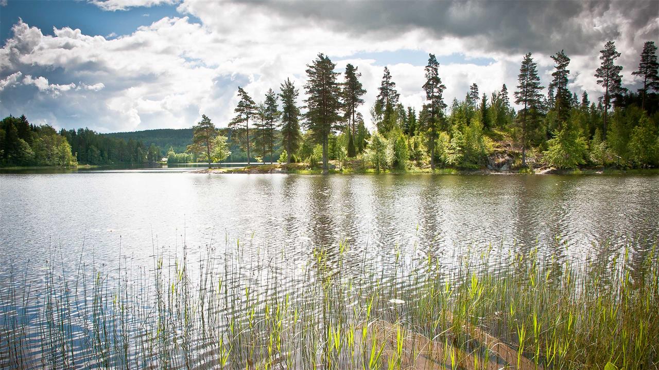 Naturbyn in Långserud, Värmland