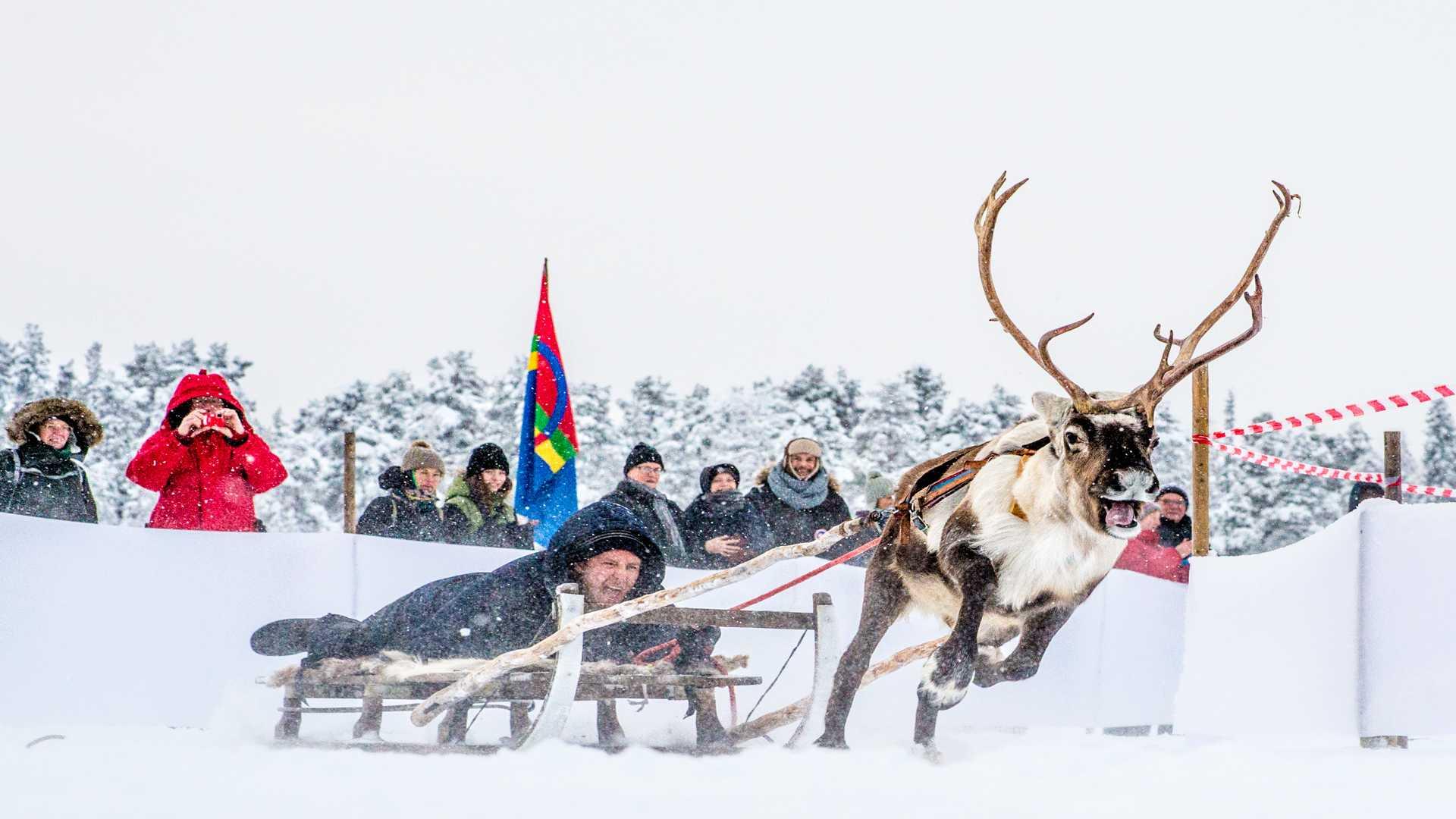 Rentierrennen auf dem Jokkmokk Markt