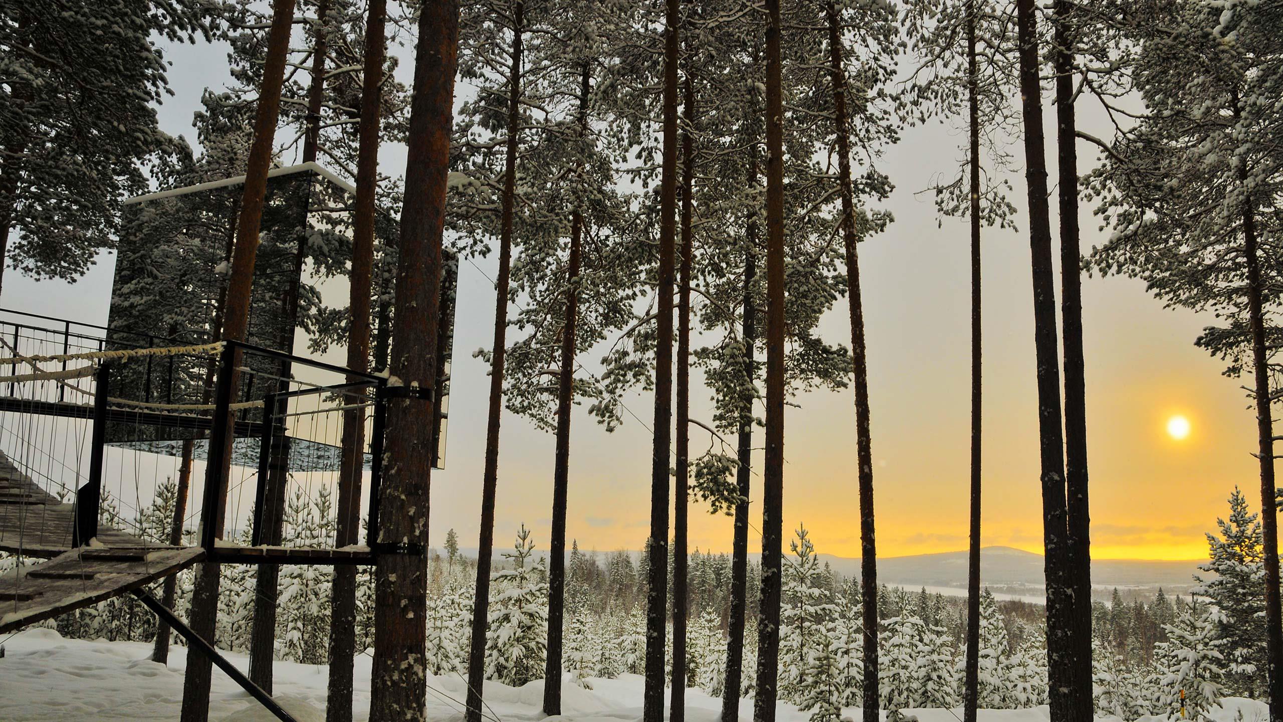 Das Treehotel im Winter