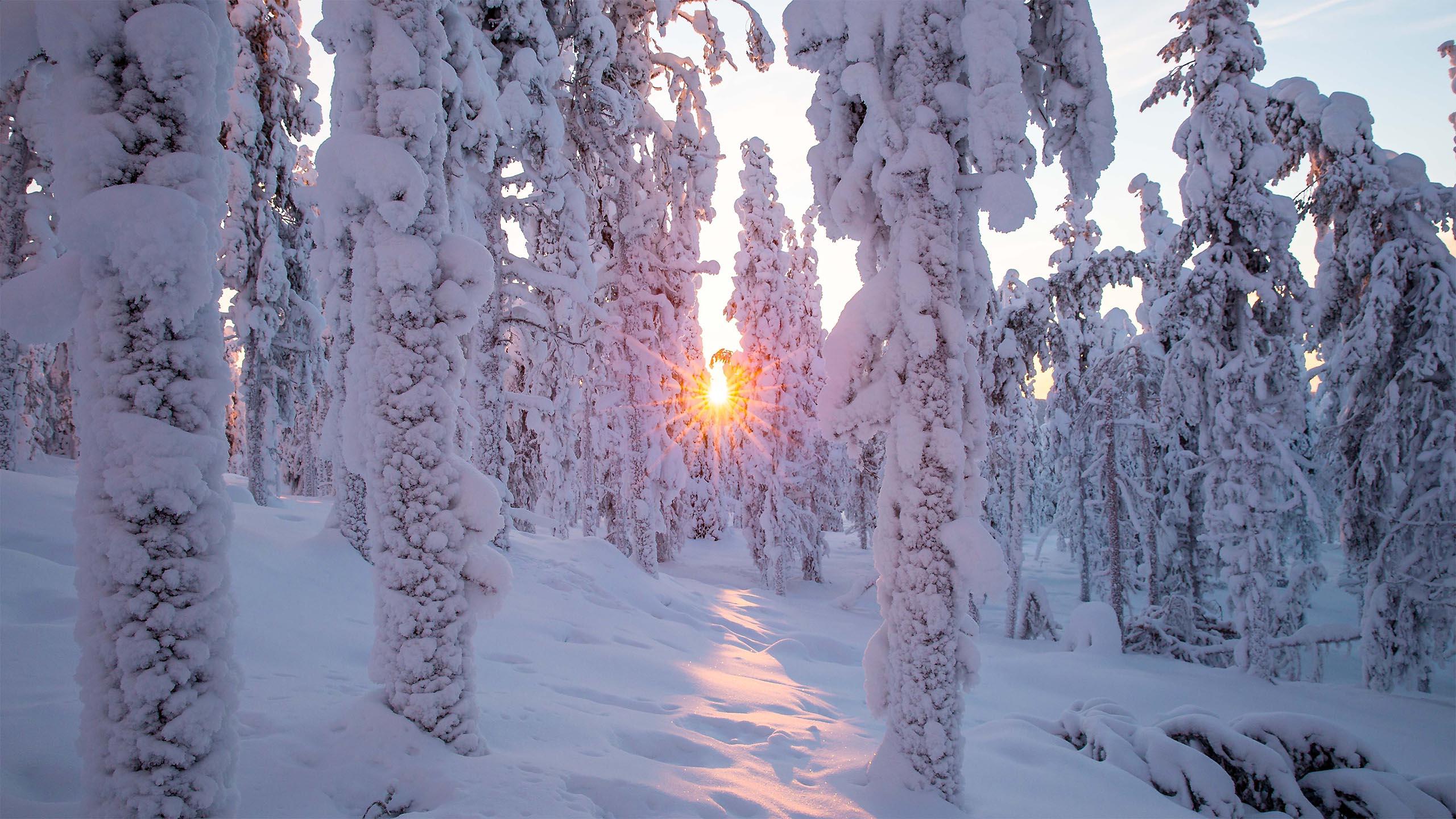 Winterliche Landschaft in Ylläs