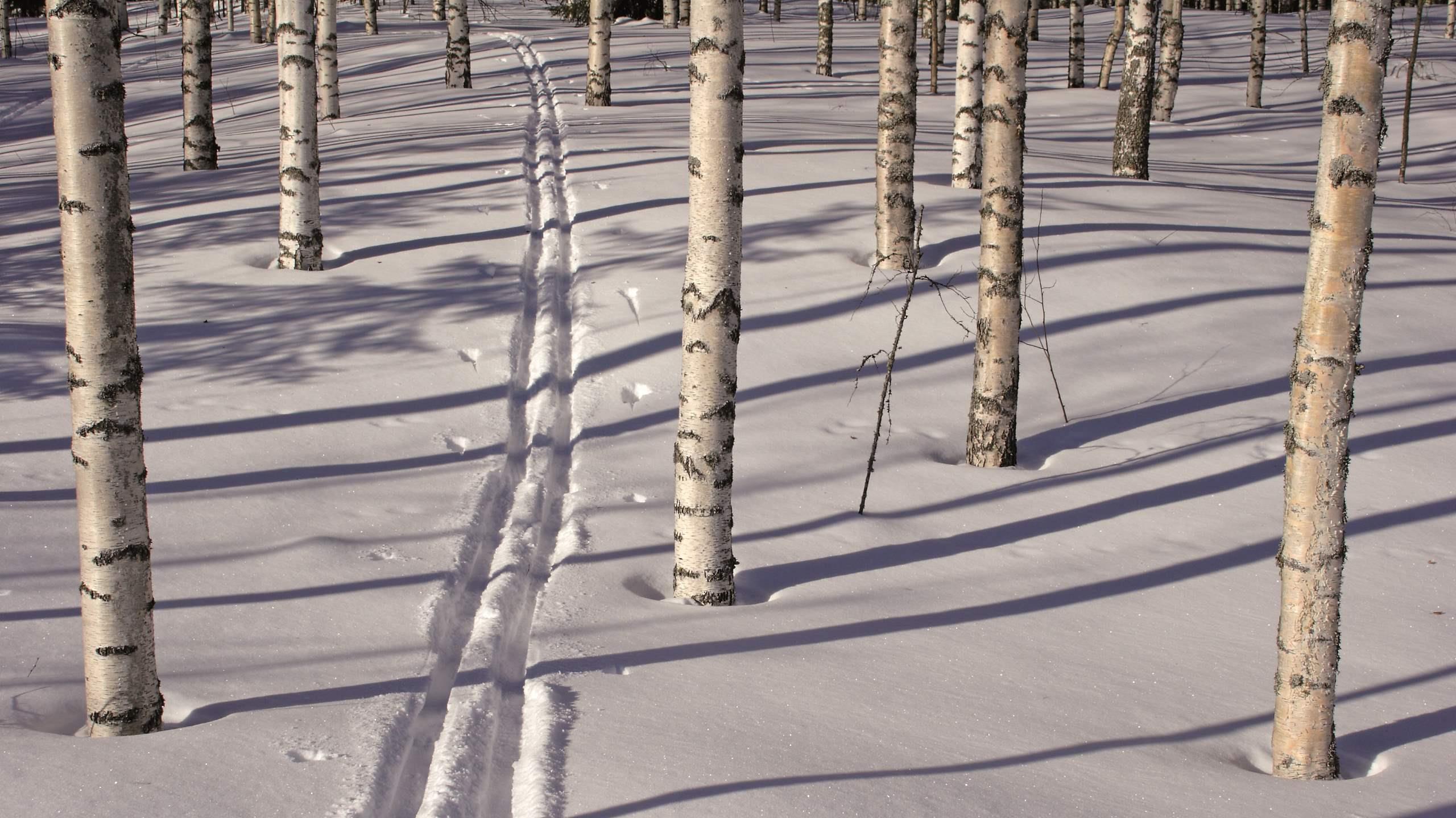 Winterlandschaft in Finnland