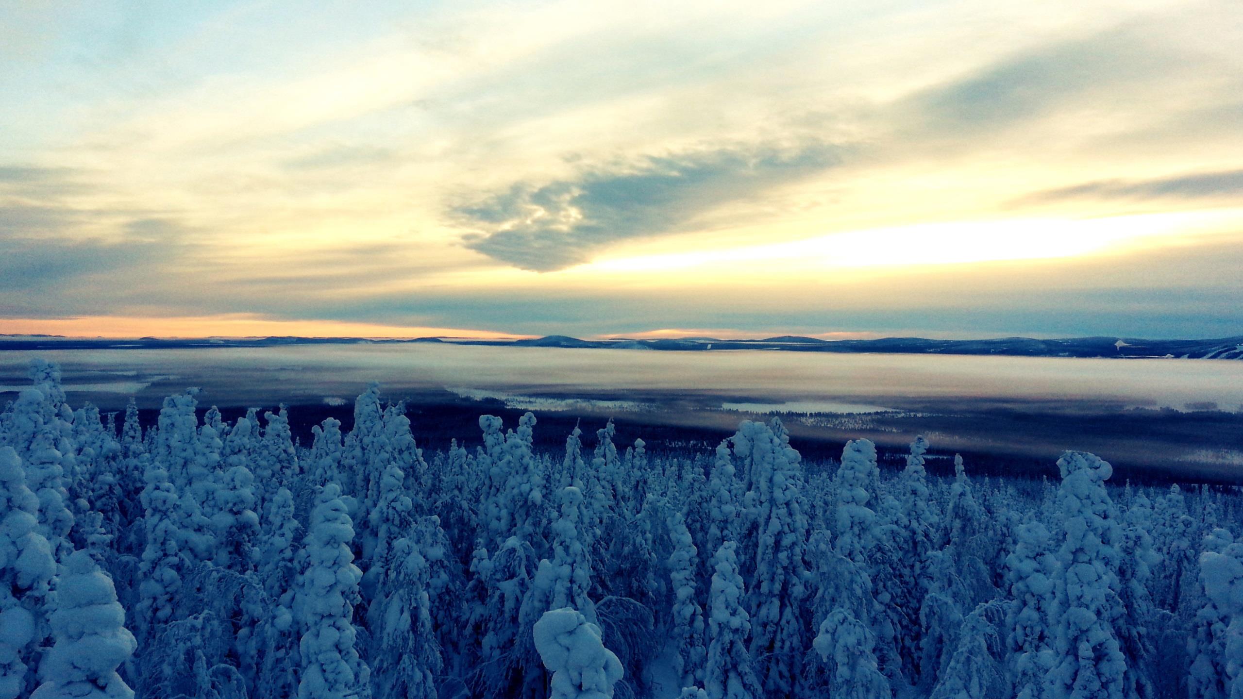Landschaft um Arvidsjaur