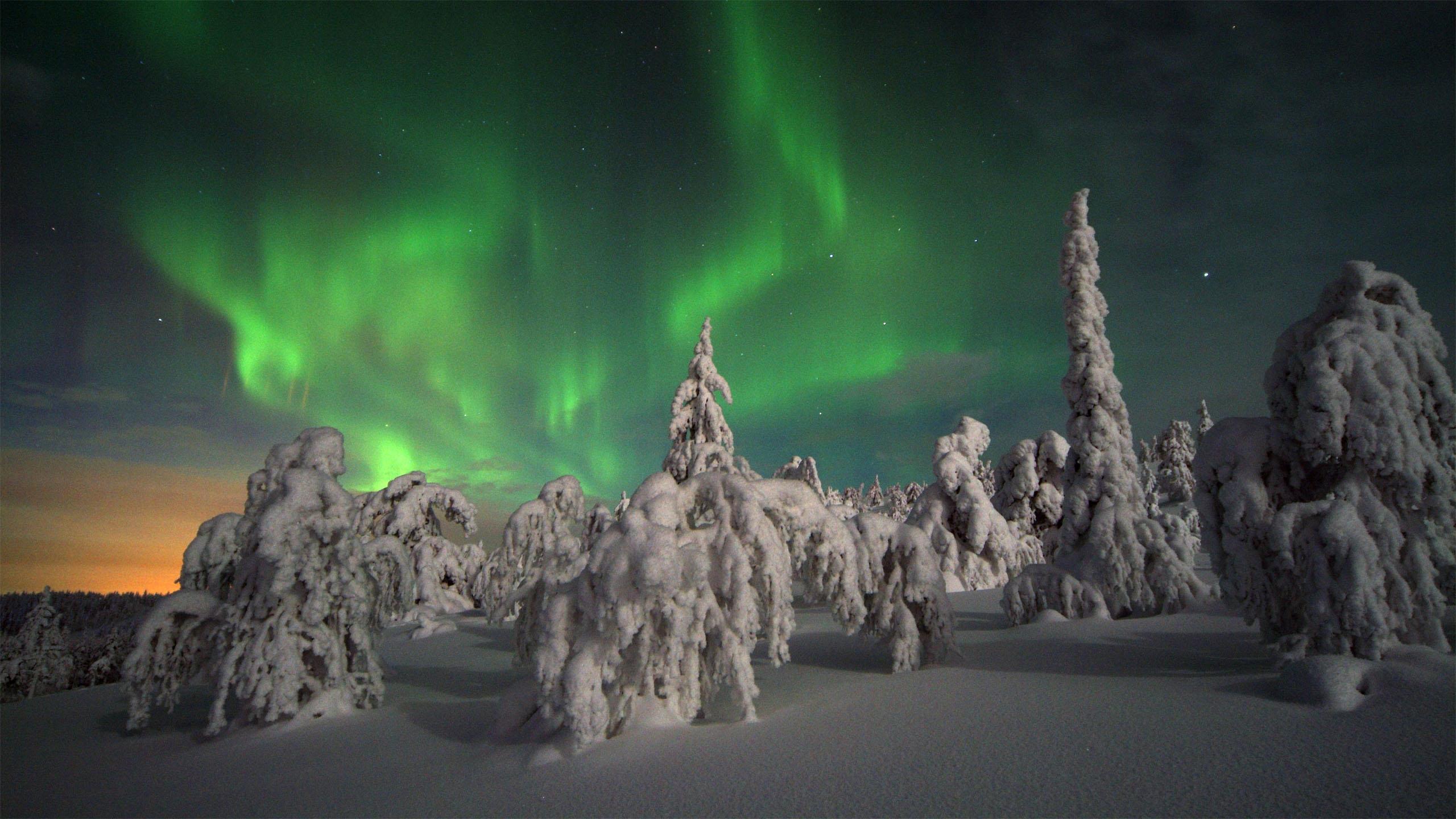 Nordfinnisches Polarlicht Erlebnis