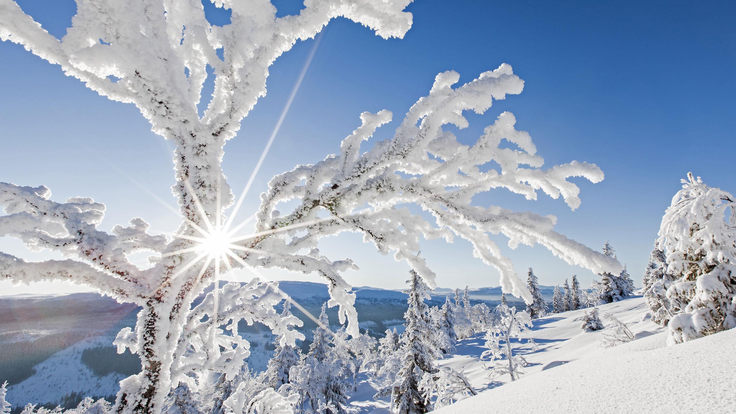 Sonnige Winterlandschaft