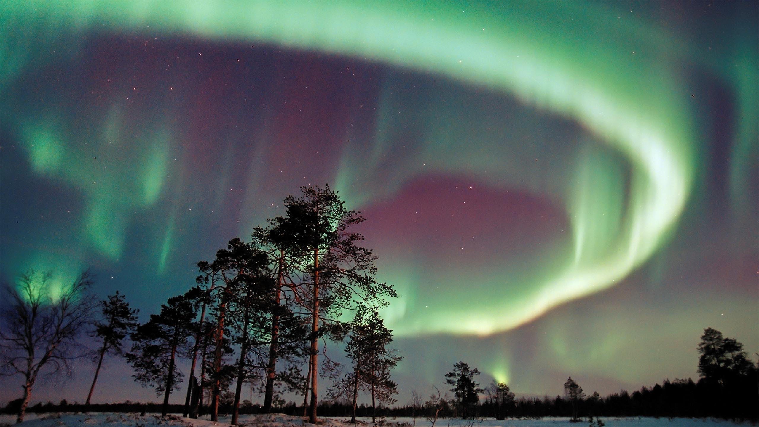 Polarlicht im Norden Finnlands
