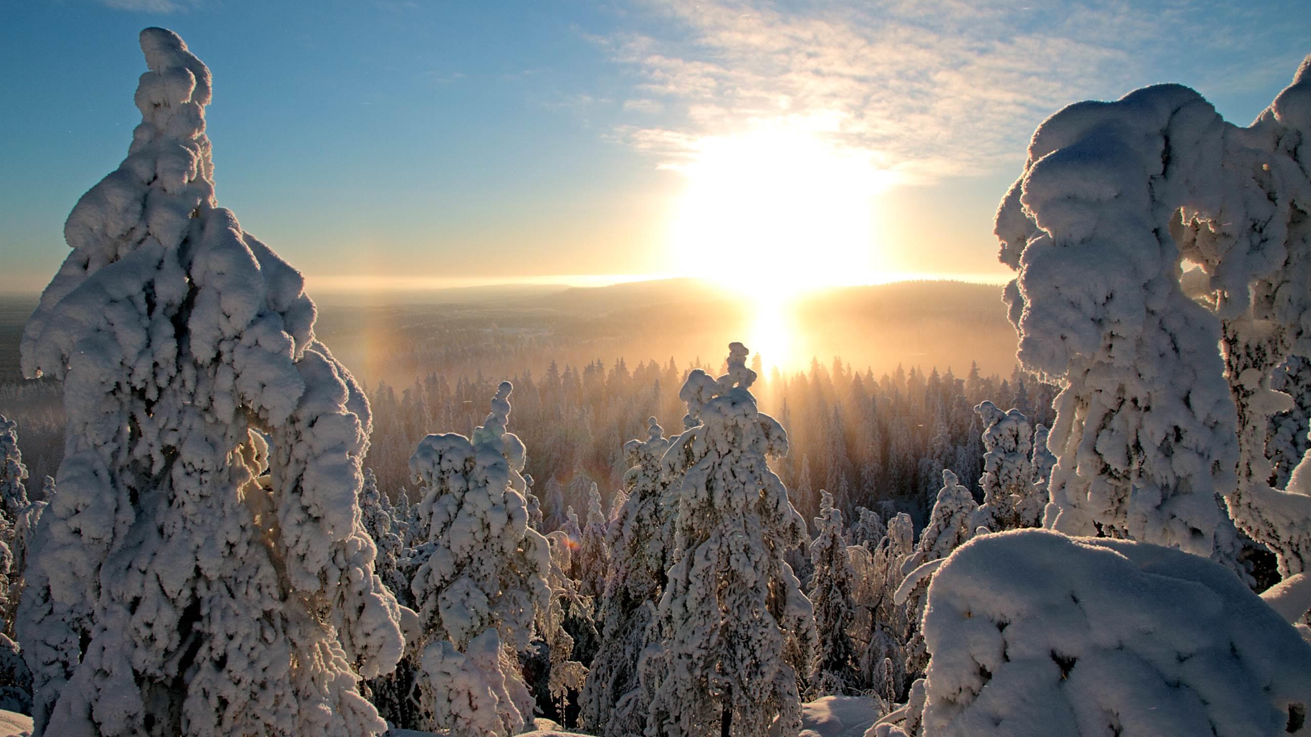 Herrliche Winterlandschaft