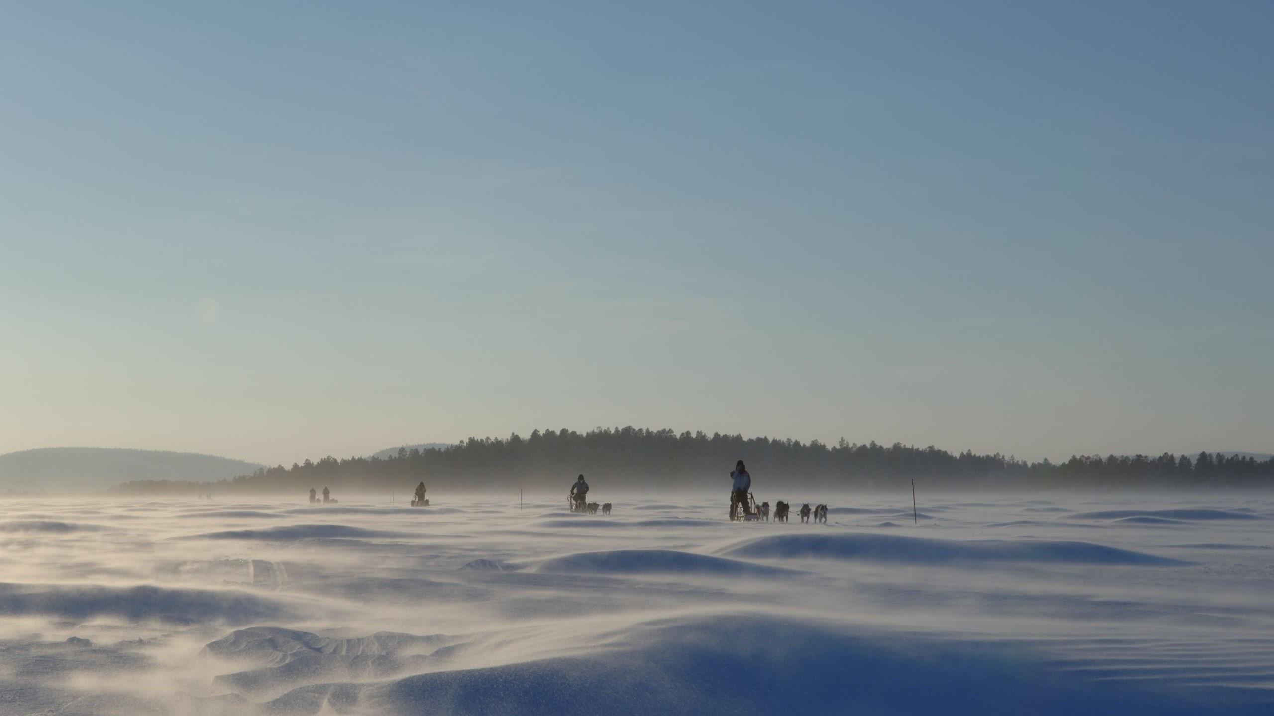 Mit den Hundeschlitten auf dem Inari See unterwegs