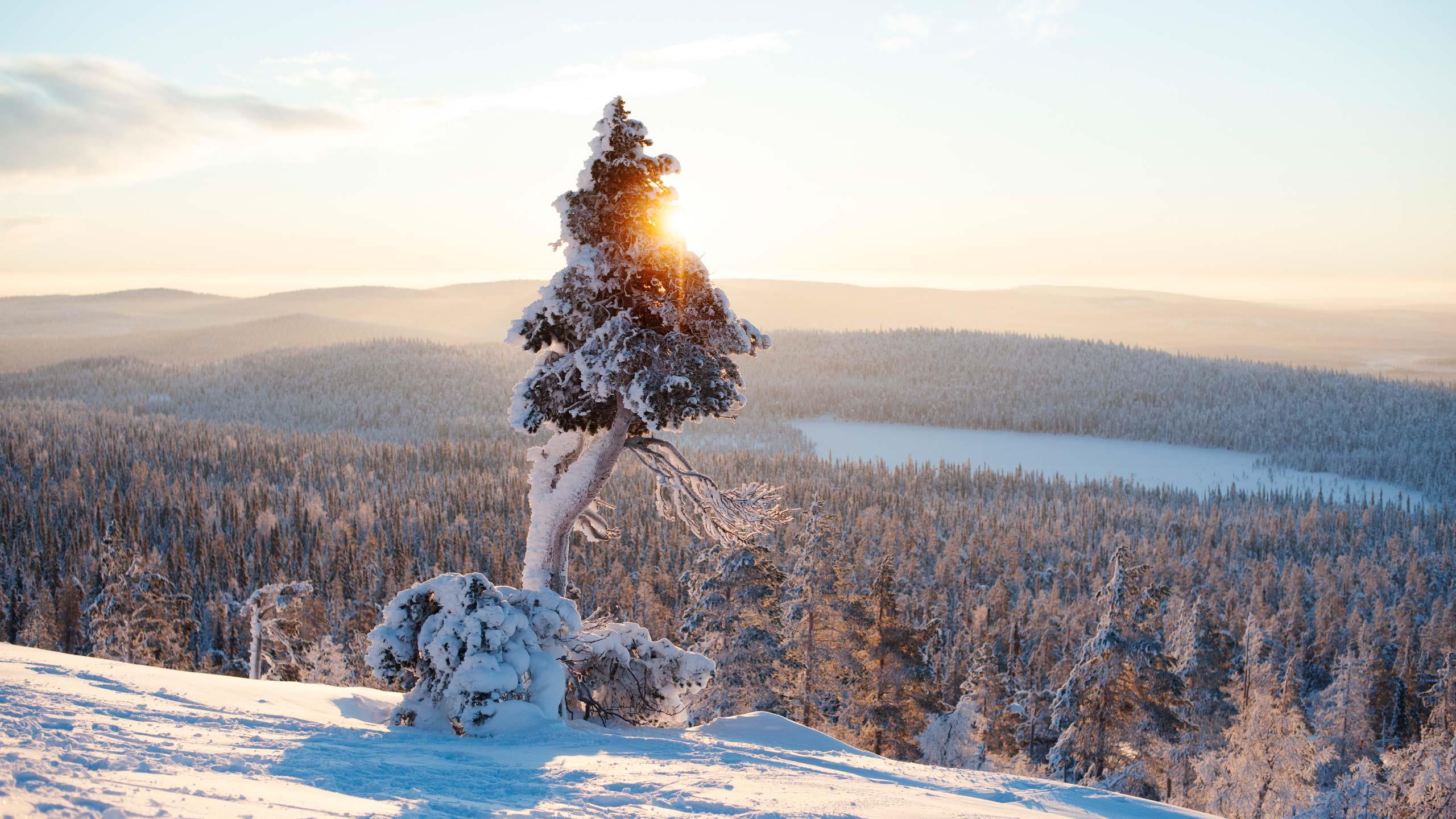 Sonnige Winterlandschaft