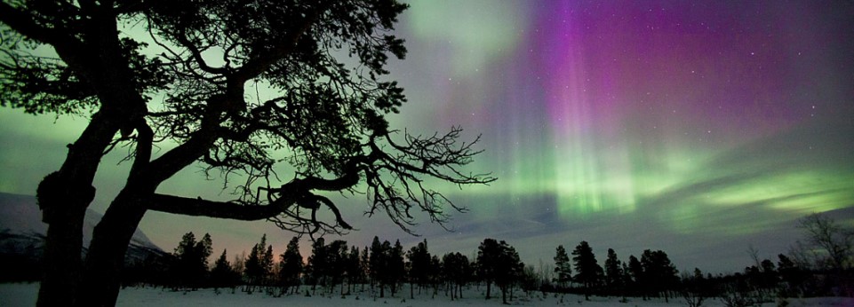 Nordic-holidays.de