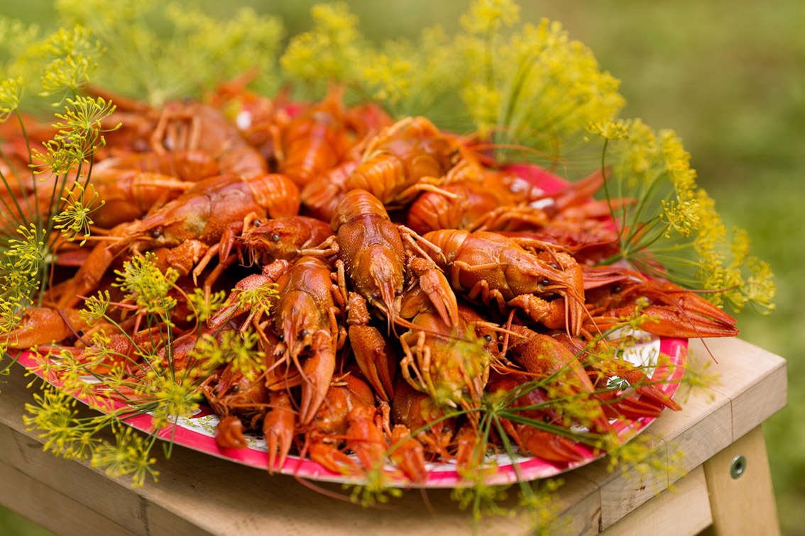 Die Crayfish Party (Krebsfest) findet traditionell im August statt @ Carolina Romare/imagebank.sweden.se