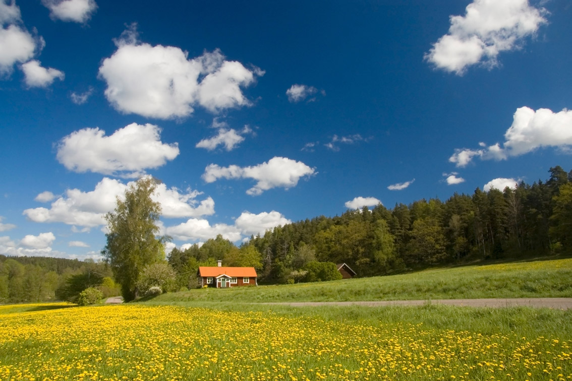 Sommer in Schweden