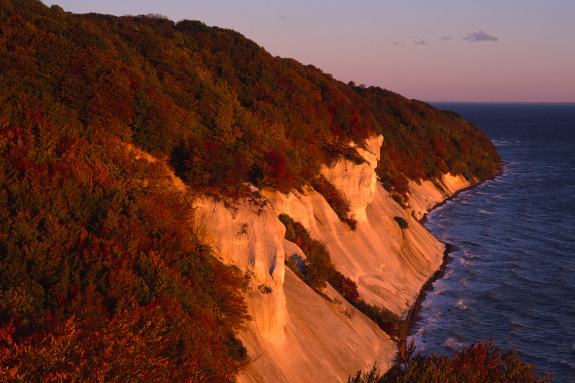 Møns Klint - die höchste Steilküste Dänemarks bei Sonnenaufgang