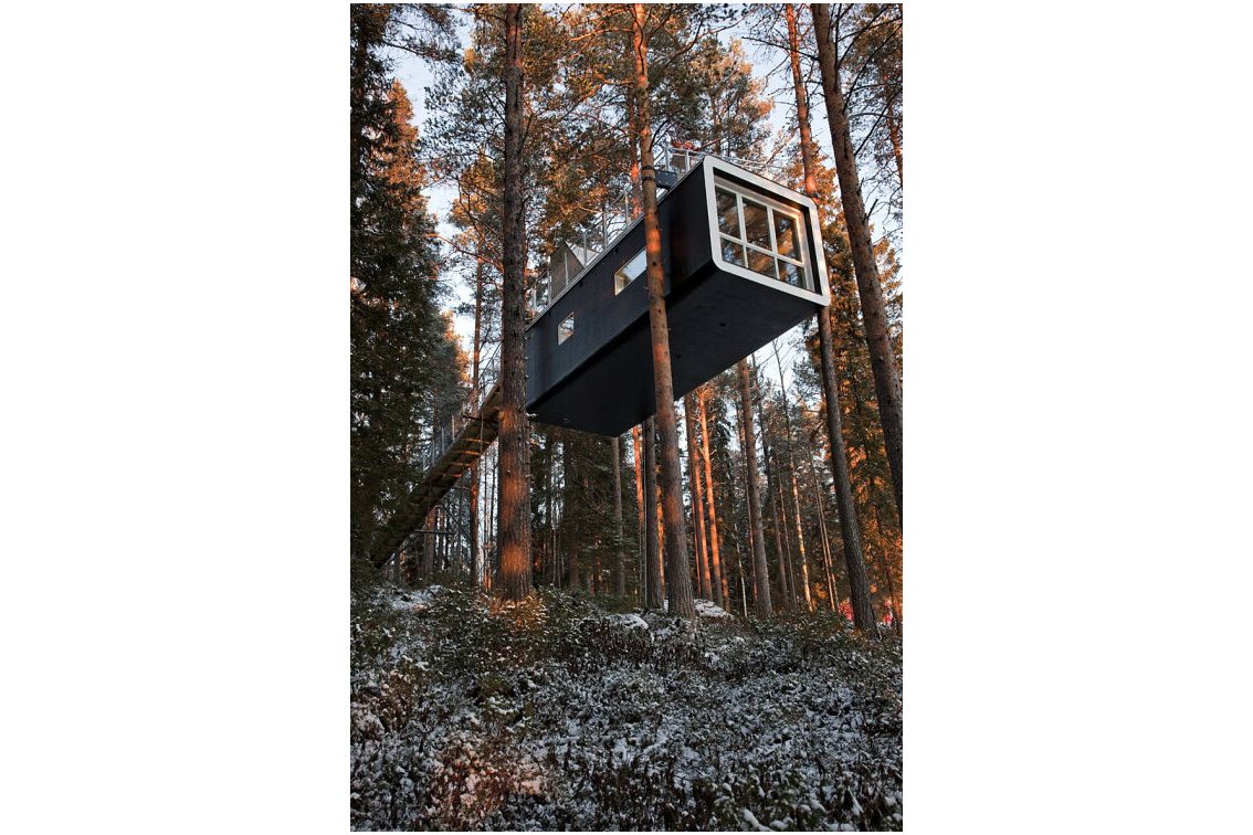Baumzimmer The Cabin im Treehotel Harads