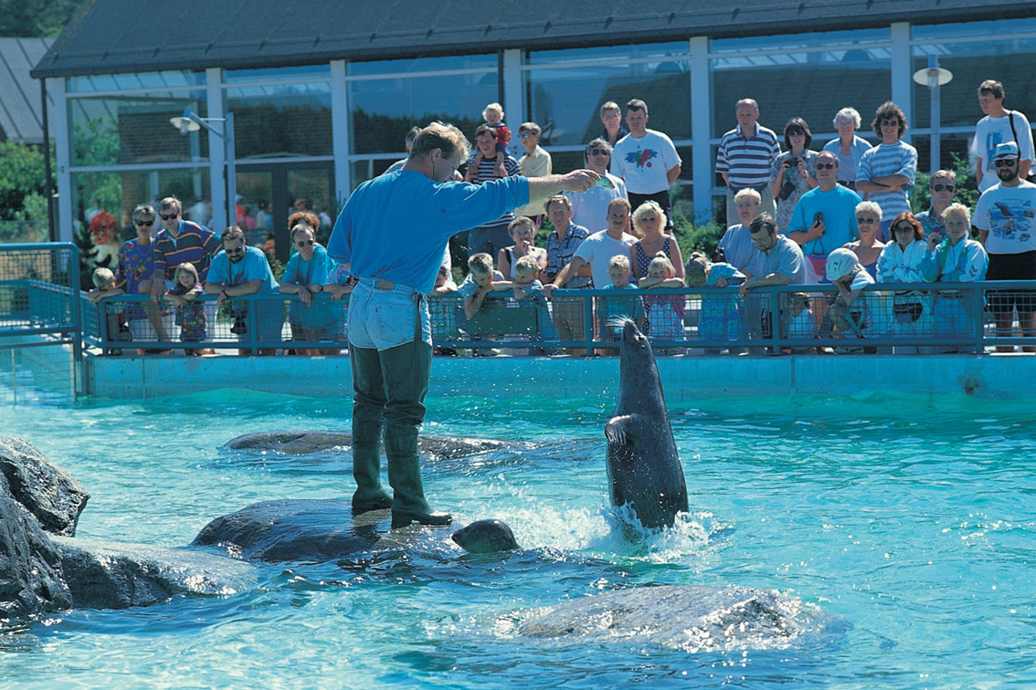 Das Nordsee Ozeanarium in Hirtshals