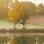 Spätsommermorgen am Göta Kanal © 2010 Rikke Lind/mediabank.stromma.se