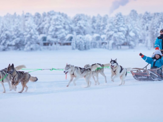 Hundeschlitten © Wilderness Hotel Juutua