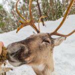 Rentier ©Alex Bao