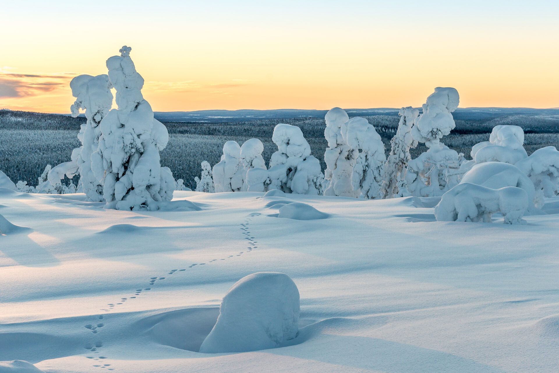 Winterlandschaft Finnland ©Markus Killi, Visit Finland