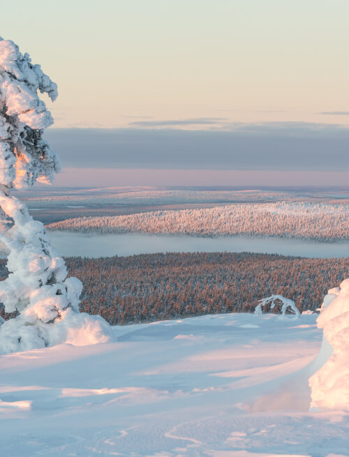 Finnisch Norwegischer Wintertraum