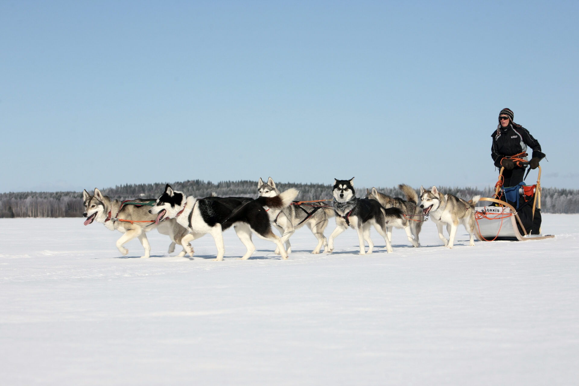 Huskytour ©Vuokatti Safaris