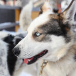 © Visit Finland, Harri Tarvainen