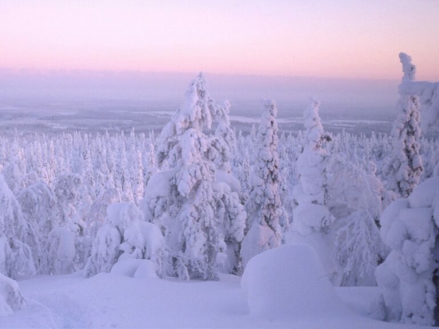 Landschaft Ruka-Kuusamo ©Rukan Salonki