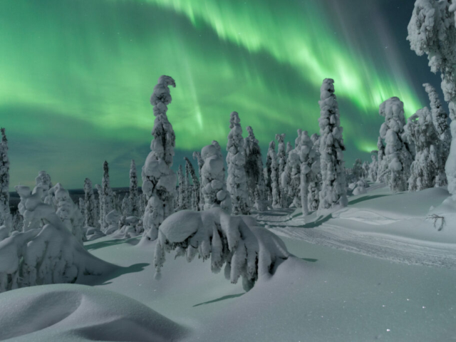 Schneelandschaft und Nordlichter©Thomas Kast, Visit Finland