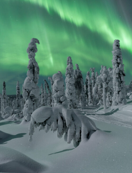 Lapplands eisige Highlights