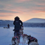 Huskytour ©Camp Ripan