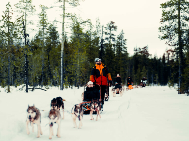 ©Polar Lights Tours