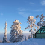 ©Golden Crown Glass Igloos