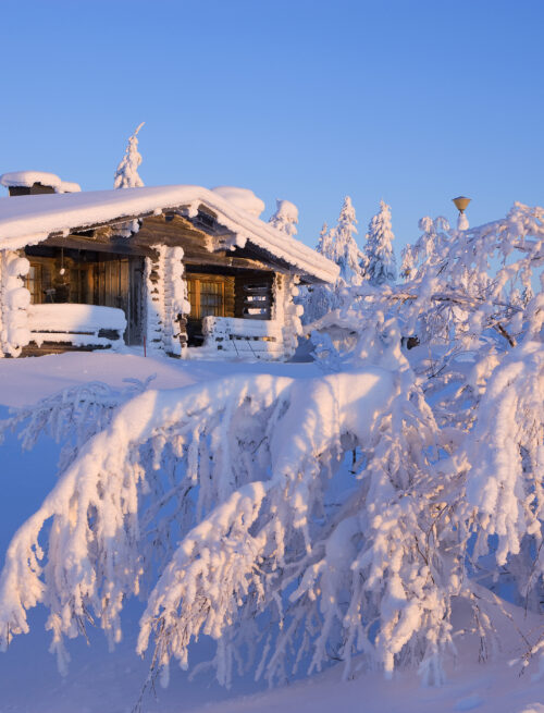 Zauberhafte Winterwelt