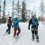 ©Kota Kollektiv, Lapland Safaris