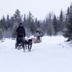 ©Polar Lights Tours