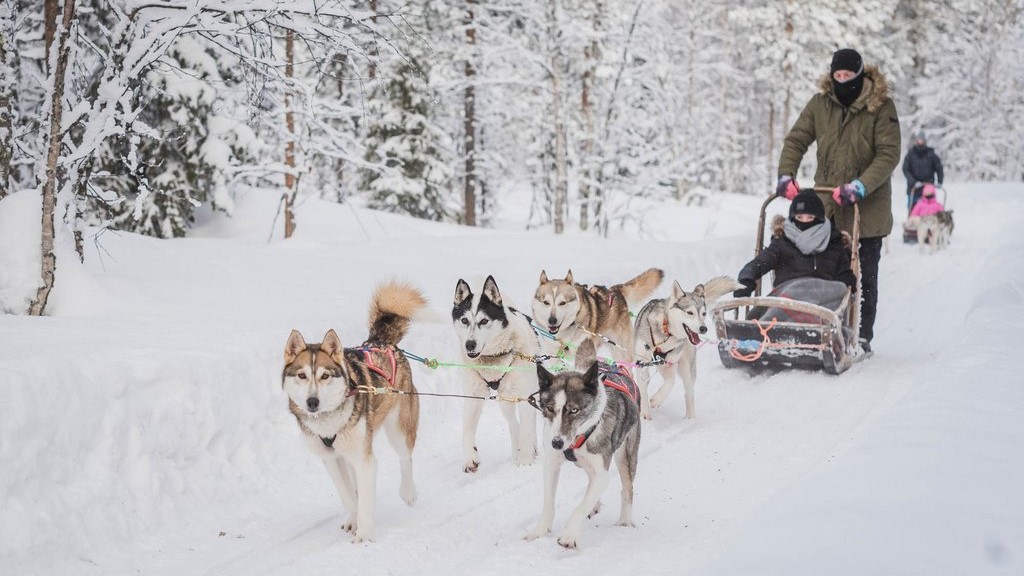 Husky-Safari ©Polar Lights Tours
