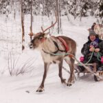 Reindeersafari ©Hotel Iso-Syöte