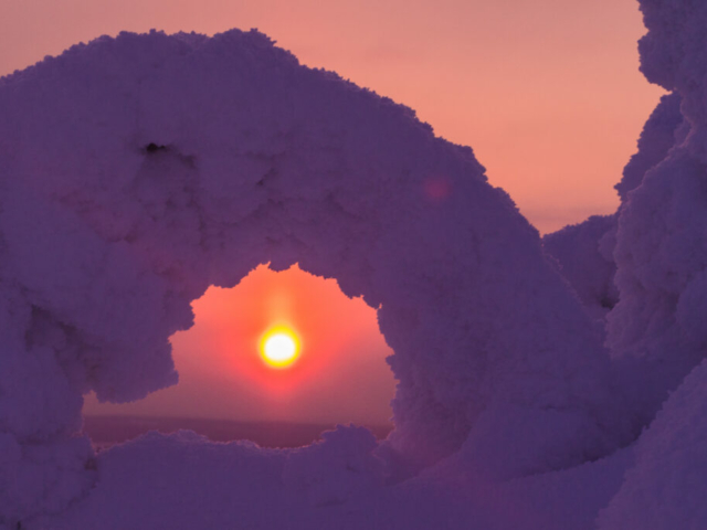 Winterwald Finnland ©Jaakko Posti, Visit Finlan