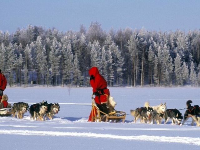 Husky-Safari ©Hotel Kalevala