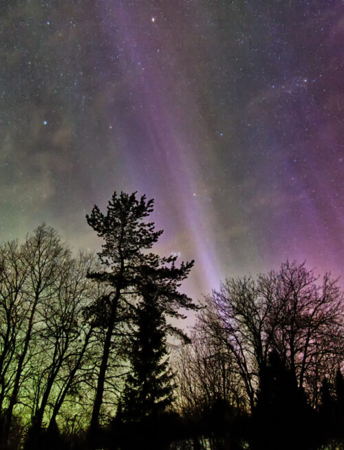 Silvester im Winter-Wunderland