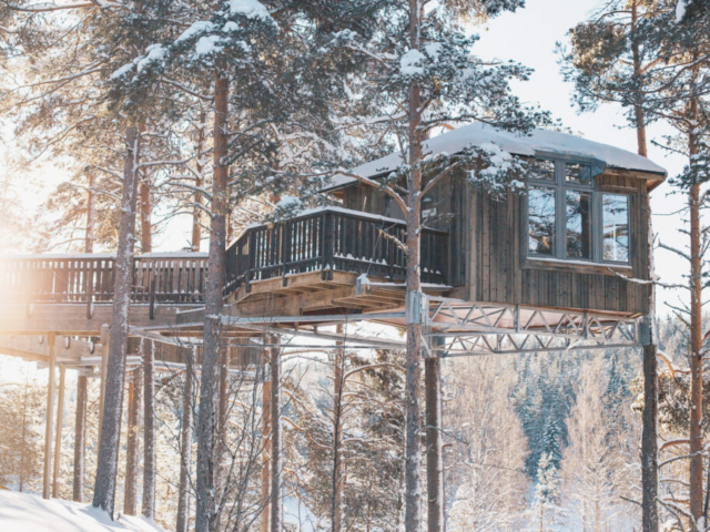 Baumhotel Granö Beckasin © Granö Beckasin