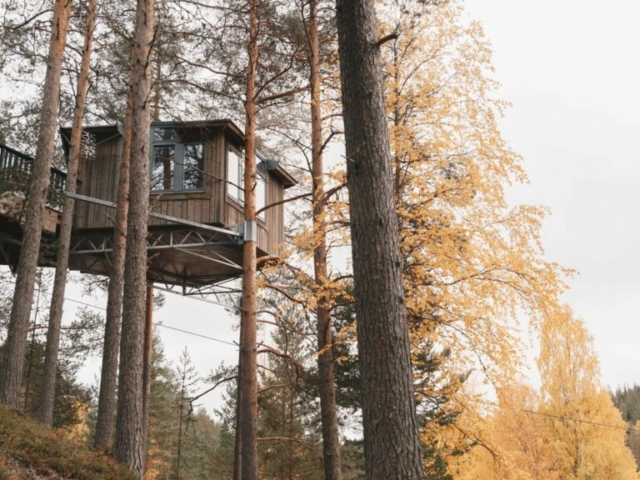 Baumzimmer in der Granö Beckasin Lodge © Granö Beckasin