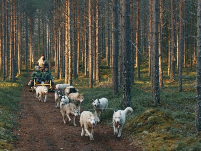 Huskytour auf Rädern der Lodge Granö Beckasin © Granö Beckasin